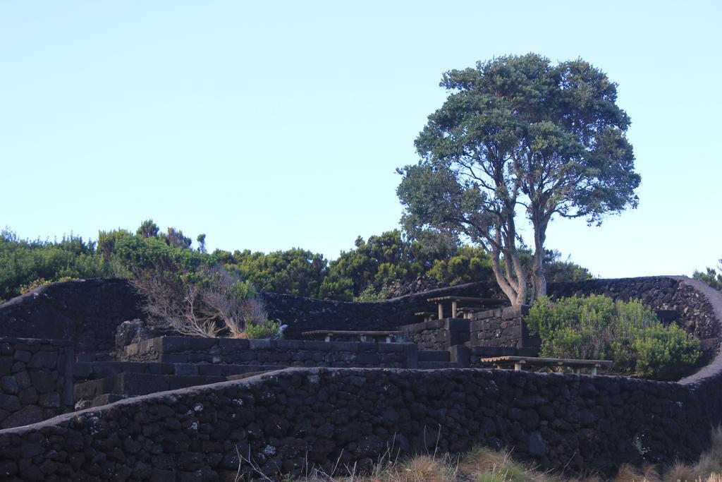 Adega Do Mirante Villa São Roque do Pico Szoba fotó