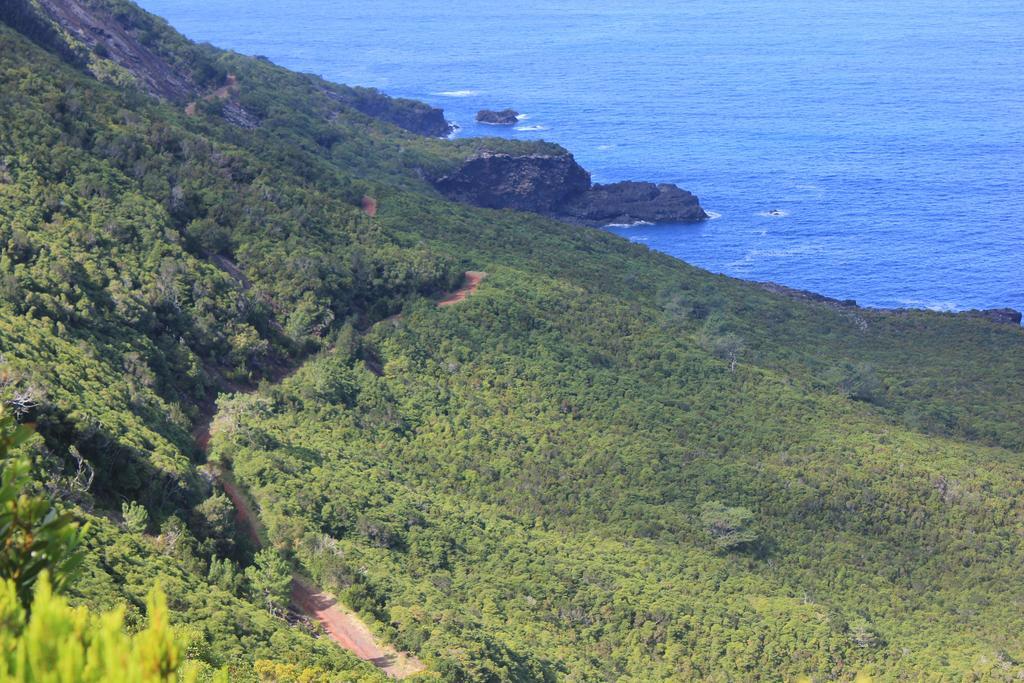 Adega Do Mirante Villa São Roque do Pico Szoba fotó